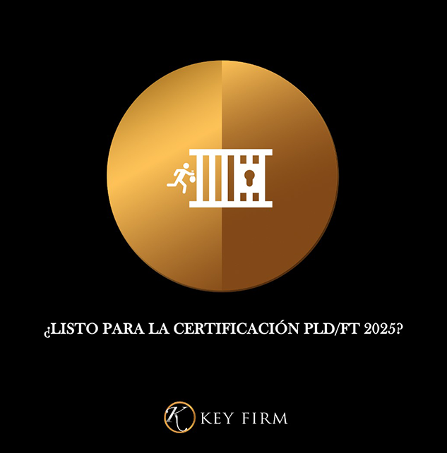 boletin febrero 2025